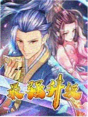 标本夹层票根支线图鉴图